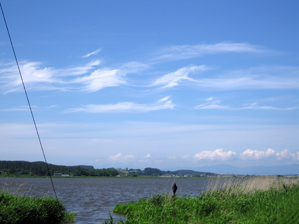 e0041606_235334.jpg