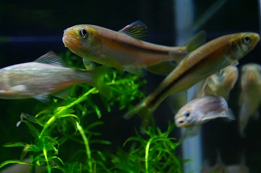 f0034007_12202257.jpg
