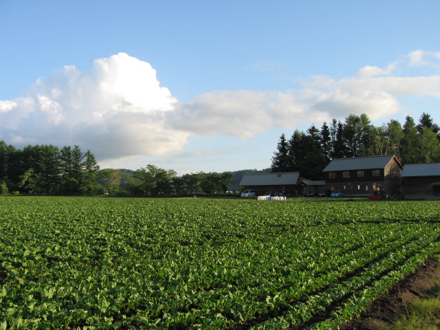 b0093515_7152947.jpg