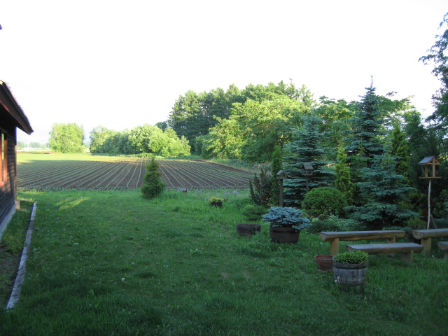 b0093515_7184031.jpg