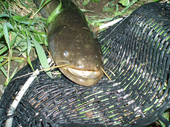 c0006017_2445117.jpg