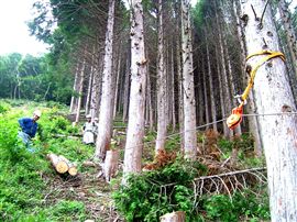 e0002820_2130533.jpg