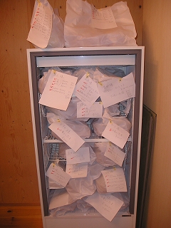 b0087822_185536.jpg