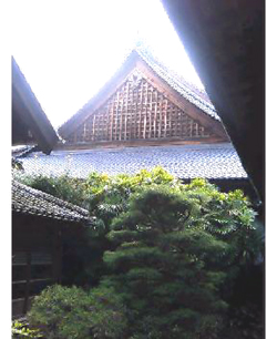 f0060424_16313716.jpg