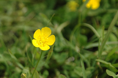 e0064128_2238227.jpg