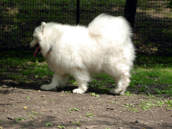 c0035838_016925.jpg