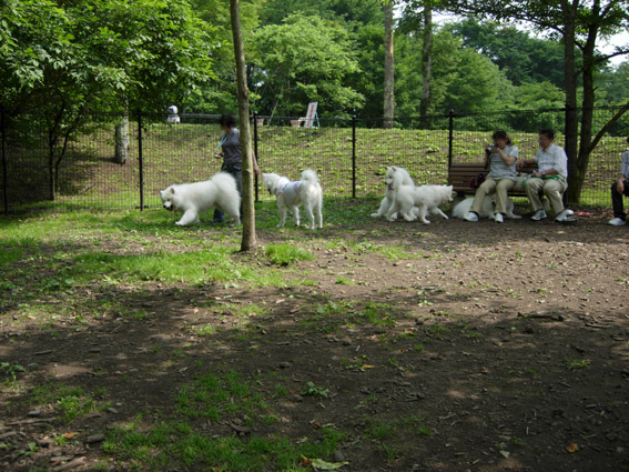 c0035838_0171130.jpg