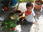 d0016750_73243100.jpg