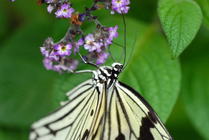 f0049152_20502011.jpg