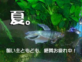 a0030054_18215249.jpg