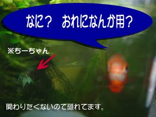 a0030054_183549.jpg