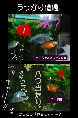 a0030054_1840781.jpg