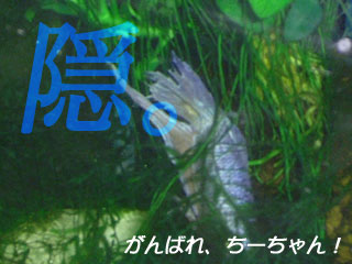 a0030054_185861.jpg
