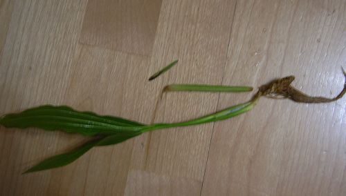 e0072757_0361592.jpg