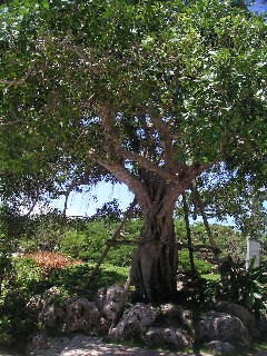 c0032863_20173940.jpg