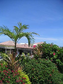 c0032863_20175568.jpg