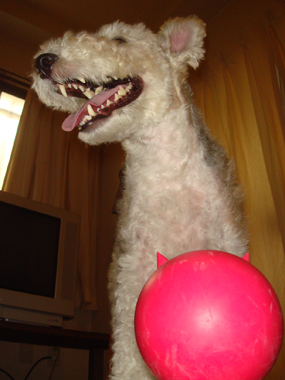 b0091373_0214811.jpg