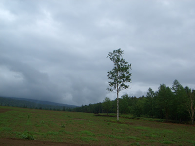 d0074578_1112611.jpg