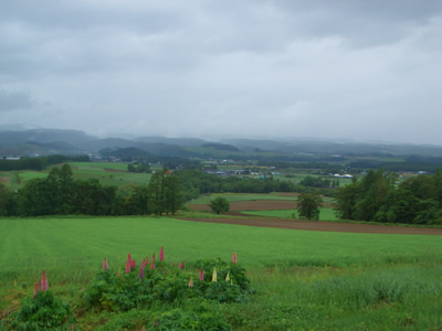 d0074578_1114768.jpg