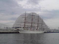 f0001378_1952344.jpg