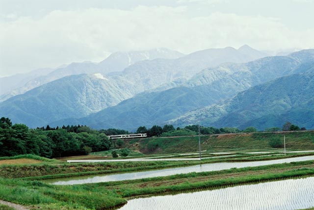 b0102780_08832.jpg