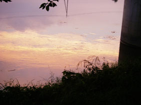 d0045295_21483270.jpg