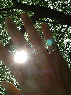 c0039205_10524429.jpg