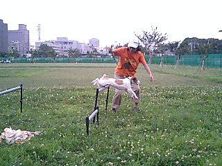 a0040708_1952217.jpg