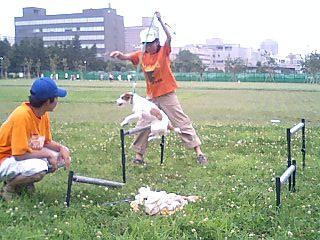 a0040708_19525821.jpg