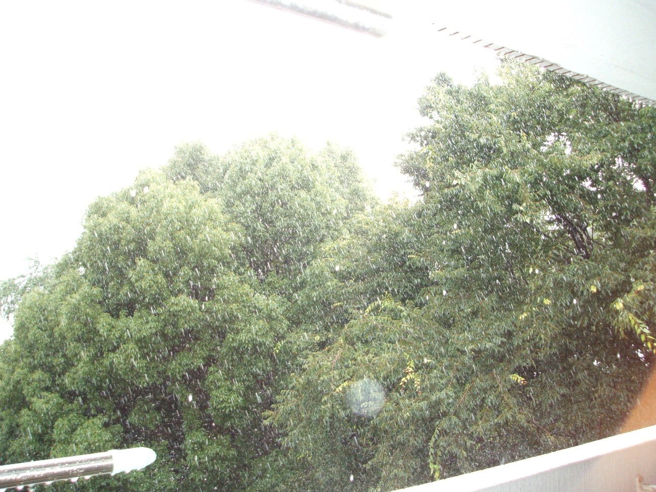 b0061010_14533584.jpg