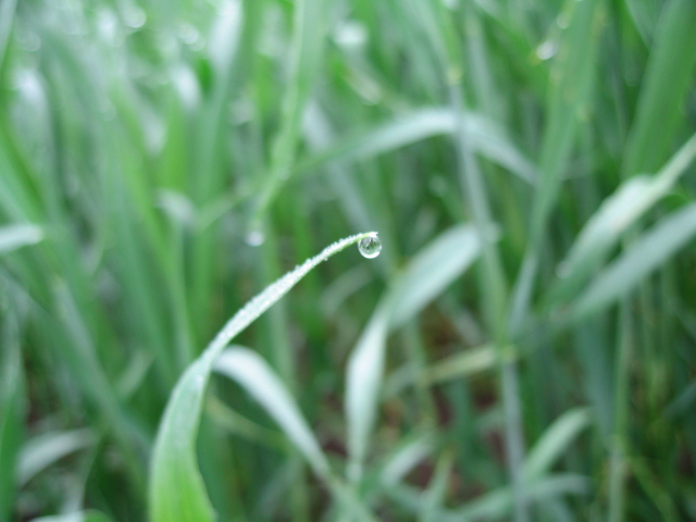 b0093515_20323749.jpg
