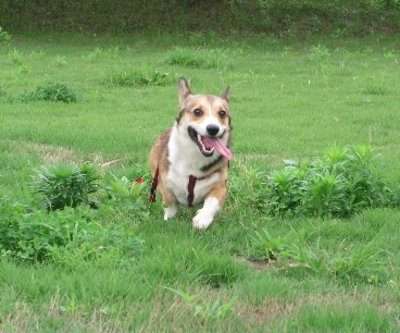 e0071225_2305057.jpg