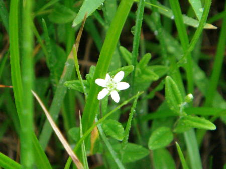 f0023625_1562772.jpg