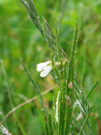 f0023625_156849.jpg