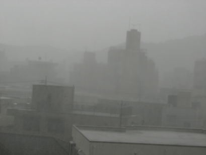 d0046031_2034247.jpg
