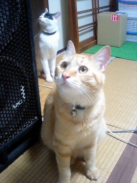 f0020837_130988.jpg