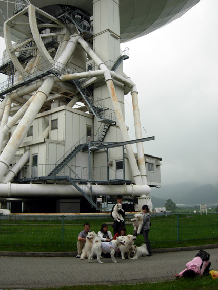 c0035838_23325050.jpg