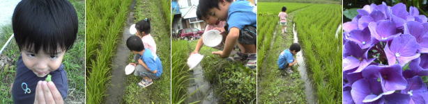 c0067646_84384.jpg