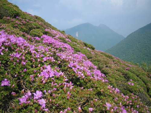 a0013751_0132513.jpg
