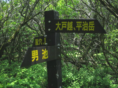 a0013751_022287.jpg