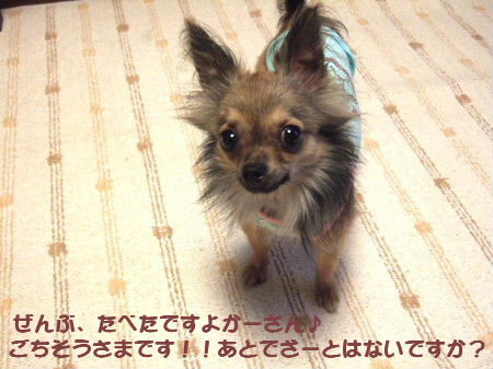 e0088654_3133893.jpg