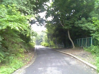 e0083359_0152380.jpg