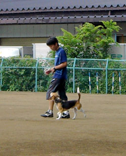 e0007060_23241764.jpg