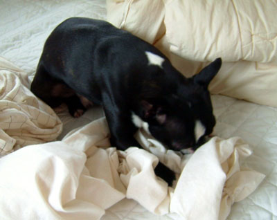 c0032567_2058953.jpg