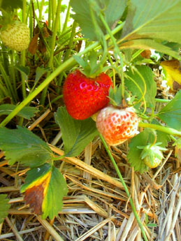 f0032969_16433486.jpg