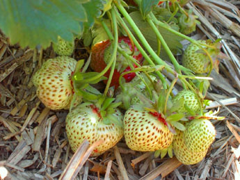 f0032969_16502599.jpg