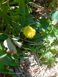 f0032969_16574712.jpg