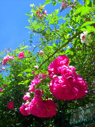 f0032969_17404130.jpg