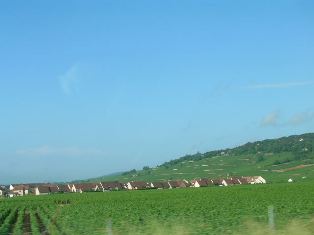 e0066571_6204945.jpg