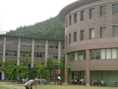 f0004182_162217.jpg